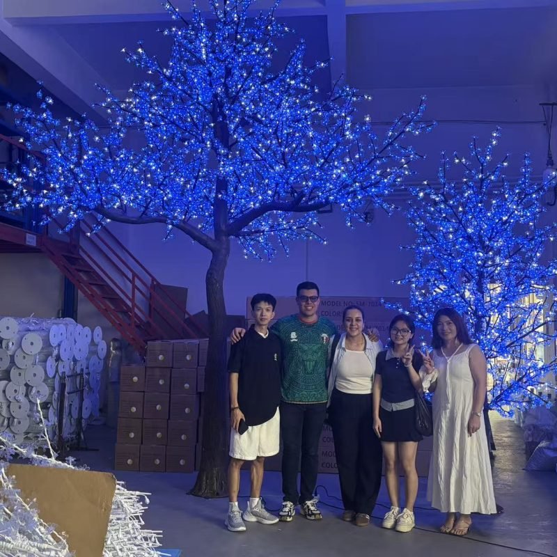 Photo with the Mexican client for the illuminated tree project.